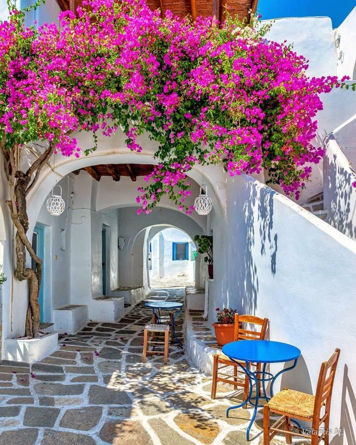 Villa Kavalli Paros Dhragoulas Extérieur photo